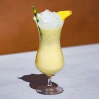 Mayflower USA Menu - Cocktails The Painkiller price