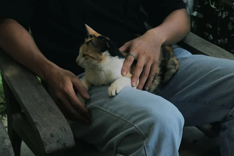 The Calm in the Chaos Health for Stressed-Out Pets